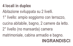 4 locali in duplex
Abitazione sviluppata su 2 livelli.
1° livello: ampio soggiorno con terrazzo, cucina abitabile, bagno, 2 camere da letto.
2° livello (no mansarda) camera matrimoniale, cabina armadio e bagno.
INGRANDISCI